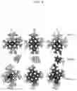 Fig. 09 - Inhibition of respiratory complex III by ligands that interact with a regulatory switch