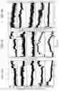 Fig. 10 - Inhibition of respiratory complex III by ligands that interact with a regulatory switch