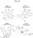 Fig. 15 - Inhibition of respiratory complex III by ligands that interact with a regulatory switch