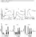 Fig. 18 - Metformin glycinate, pharmaceutical compositions comprising the same, and methods of using the same