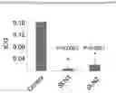 Fig. 19 - Metformin glycinate, pharmaceutical compositions comprising the same, and methods of using the same