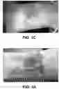 Fig. 03 - TOPICAL FORMULATION FOR TREATING BRUISING