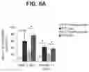 Fig. 14 - Methods and compositions for treating metabolic disorders