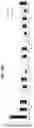 Fig. 15 - Methods and compositions for treating metabolic disorders