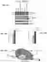 Fig. 25 - Methods and compositions for treating metabolic disorders
