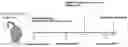 Fig. 01 - Composition for preventing or treating hearing loss, containing atorvastatin as active ingredient
