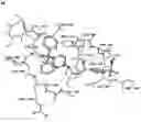 Fig. 01 - COMPOSITIONS AND METHODS FOR TREATMENT OF INFLAMMATORY AUTOIMMUNE DISEASES