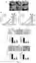 Fig. 05 - COMPOSITIONS AND METHODS FOR TREATMENT OF INFLAMMATORY AUTOIMMUNE DISEASES