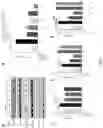 Fig. 19 - COMPOSITIONS AND METHODS FOR TREATMENT OF INFLAMMATORY AUTOIMMUNE DISEASES
