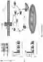 Fig. 20 - COMPOSITIONS AND METHODS FOR TREATMENT OF INFLAMMATORY AUTOIMMUNE DISEASES