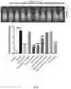 Fig. 23 - COMPOSITIONS AND METHODS FOR TREATMENT OF INFLAMMATORY AUTOIMMUNE DISEASES