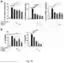 Fig. 25 - COMPOSITIONS AND METHODS FOR TREATMENT OF INFLAMMATORY AUTOIMMUNE DISEASES
