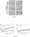 Fig. 27 - COMPOSITIONS AND METHODS FOR TREATMENT OF INFLAMMATORY AUTOIMMUNE DISEASES