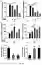 Fig. 29 - COMPOSITIONS AND METHODS FOR TREATMENT OF INFLAMMATORY AUTOIMMUNE DISEASES