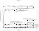 Fig. 25 - PHARMACEUTICAL COMBINATION COMPOSITION COMPRISING COMPLEX FORMULATIONS OF IVACAFTOR AND LUMACAFTOR AND THEIR SALTS AND DERIVATIVES, PROCESS FOR THEIR PREPARATION THEREOF AND PHARMACEUTICAL COMPOSITIONS CONTAINING THEM