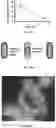 Fig. 11 - Combination of a DNA condensation-inducing compound and an Eis inhibitor for antibiotic treatment