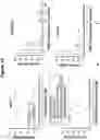 Fig. 14 - Imipridones for gliomas