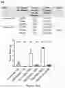 Fig. 10 - Method of treating a methionine-dependent cancer