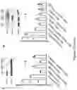 Fig. 35 - Method of treating a methionine-dependent cancer