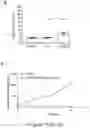 Fig. 54 - Method of treating a methionine-dependent cancer