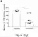 Fig. 56 - Method of treating a methionine-dependent cancer