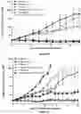 Fig. 09 - Compositions comprising bisfluoroalkyl-1,4-benzodiazepinone compounds for treating Adenoid Cystic Carcinoma
