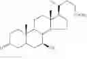 Fig. 08 - CONJUGATE COMPOUNDS OF URSODEOXYCHOLIC, BERBERINE OR L-CARNITINE, AND COMPOSITIONS AND METHODS THEREOF