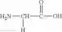 Fig. 100 - CONJUGATE COMPOUNDS OF URSODEOXYCHOLIC, BERBERINE OR L-CARNITINE, AND COMPOSITIONS AND METHODS THEREOF