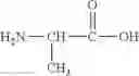Fig. 101 - CONJUGATE COMPOUNDS OF URSODEOXYCHOLIC, BERBERINE OR L-CARNITINE, AND COMPOSITIONS AND METHODS THEREOF
