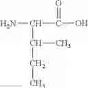 Fig. 104 - CONJUGATE COMPOUNDS OF URSODEOXYCHOLIC, BERBERINE OR L-CARNITINE, AND COMPOSITIONS AND METHODS THEREOF