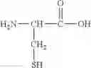 Fig. 112 - CONJUGATE COMPOUNDS OF URSODEOXYCHOLIC, BERBERINE OR L-CARNITINE, AND COMPOSITIONS AND METHODS THEREOF