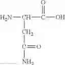 Fig. 114 - CONJUGATE COMPOUNDS OF URSODEOXYCHOLIC, BERBERINE OR L-CARNITINE, AND COMPOSITIONS AND METHODS THEREOF