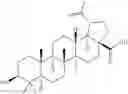 Fig. 32 - CONJUGATE COMPOUNDS OF URSODEOXYCHOLIC, BERBERINE OR L-CARNITINE, AND COMPOSITIONS AND METHODS THEREOF