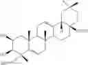Fig. 35 - CONJUGATE COMPOUNDS OF URSODEOXYCHOLIC, BERBERINE OR L-CARNITINE, AND COMPOSITIONS AND METHODS THEREOF