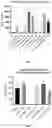Fig. 08 - Immunodulating small molecules