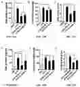 Fig. 15 - Immunodulating small molecules