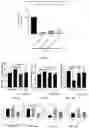 Fig. 16 - Immunodulating small molecules