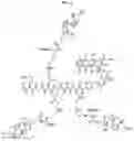 Fig. 04 - ORAL ANTICANCER PRODRUGS, THEIR PREPARATION METHODS AND APPLICATIONS