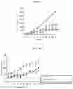 Fig. 13 - ORAL ANTICANCER PRODRUGS, THEIR PREPARATION METHODS AND APPLICATIONS