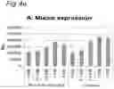 Fig. 05 - SYNERGISM OF GOS AND POLYFRUCTOSE