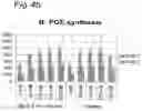 Fig. 06 - SYNERGISM OF GOS AND POLYFRUCTOSE