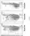 Fig. 08 - Compositions and methods targeting complement component 3 for inhibiting tumor growth