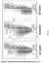Fig. 09 - Compositions and methods targeting complement component 3 for inhibiting tumor growth