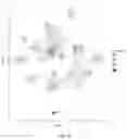 Fig. 43 - Compositions and methods targeting complement component 3 for inhibiting tumor growth