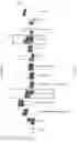 Fig. 53 - Compositions and methods targeting complement component 3 for inhibiting tumor growth