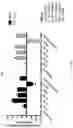 Fig. 57 - Compositions and methods targeting complement component 3 for inhibiting tumor growth