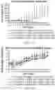 Fig. 17 - Compositions and methods for CAR T cell therapy