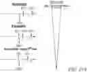 Fig. 38 - Compositions and methods for CAR T cell therapy