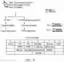 Fig. 43 - Compositions and methods for CAR T cell therapy