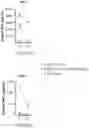 Fig. 50 - Compositions and methods for CAR T cell therapy